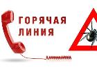 Роспотребнадзор запускает тематическую горячую линию по профилактике клещевого вирусного энцефалита и других инфекций, передающихся иксодовыми клещами