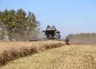 Уборочная кампания в Кузбассе близится к завершению